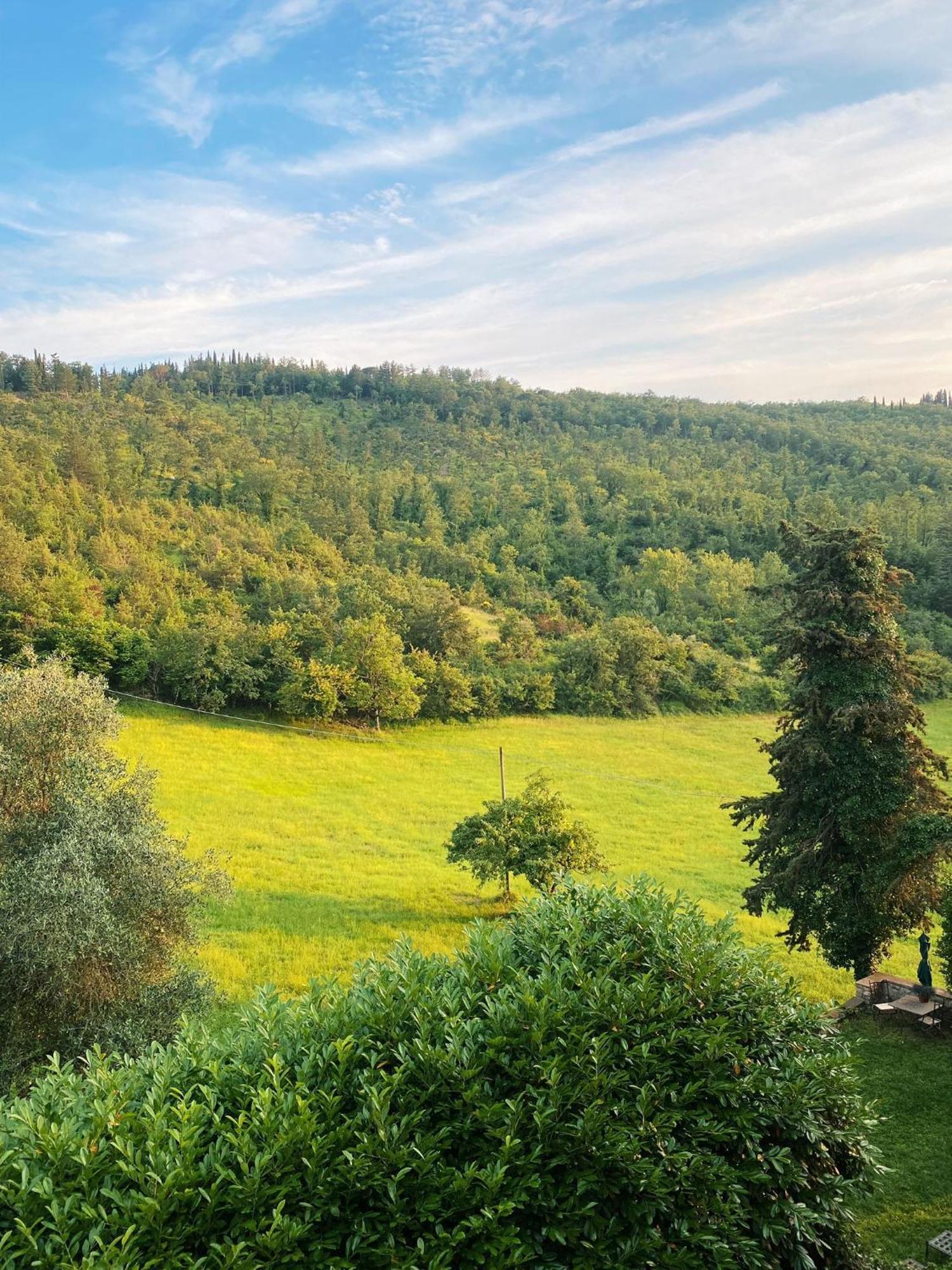 Tenuta Di San Giusto In Salcio Lejlighed Gaiole in Chianti Eksteriør billede